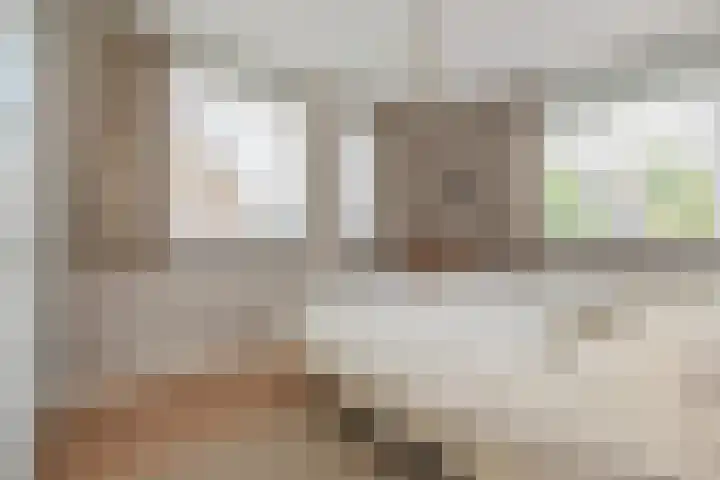 Sneekermeerplantsoen 26 Berkel en Rodenrijs thumbnail 20