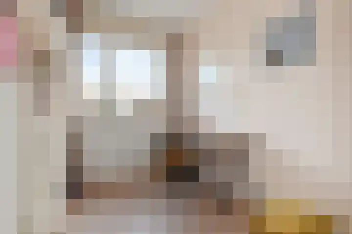 Sneekermeerplantsoen 26 Berkel en Rodenrijs thumbnail 23