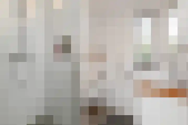 Sneekermeerplantsoen 26 Berkel en Rodenrijs thumbnail 24