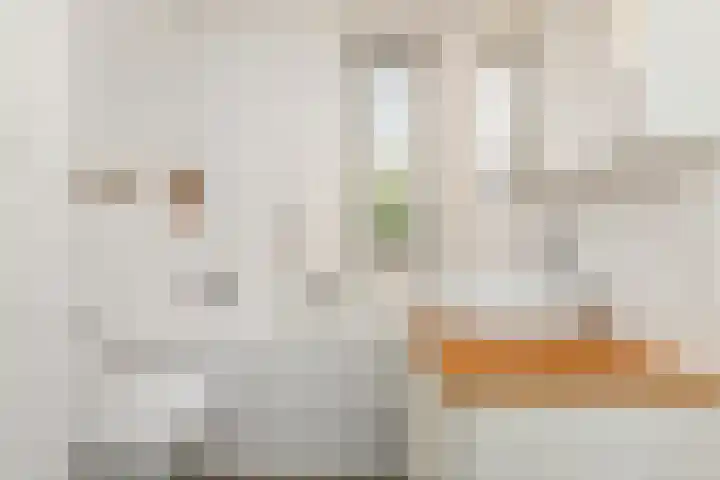 Sneekermeerplantsoen 26 Berkel en Rodenrijs thumbnail 25