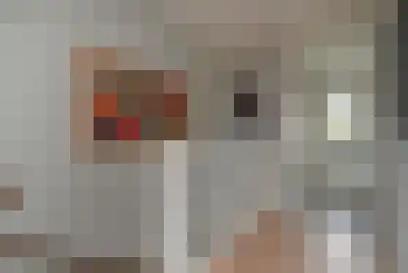 Sneekermeerplantsoen 26 Berkel en Rodenrijs thumbnail 27
