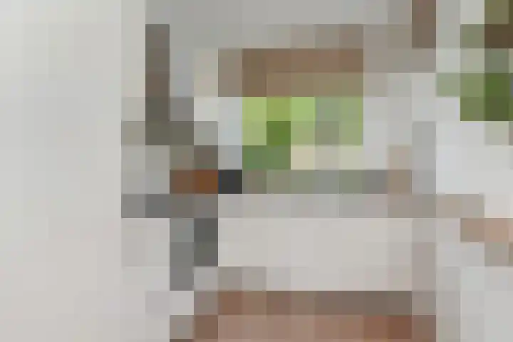 Sneekermeerplantsoen 26 Berkel en Rodenrijs foto 3