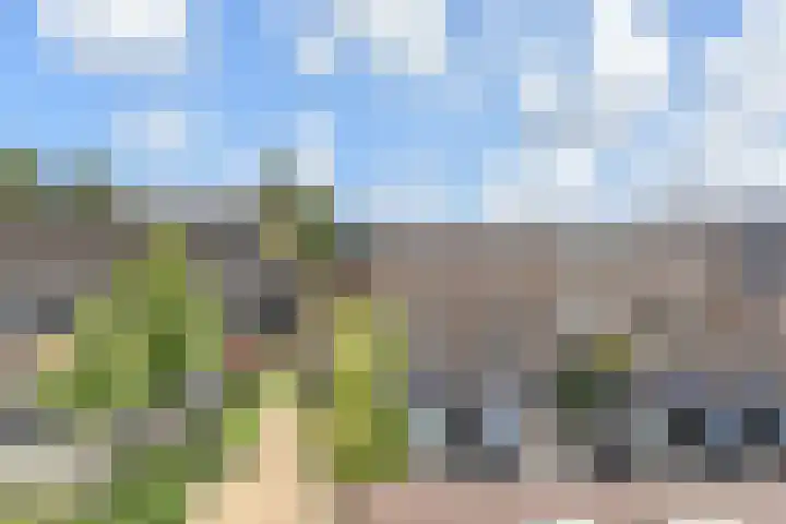 Sneekermeerplantsoen 26 Berkel en Rodenrijs thumbnail 35