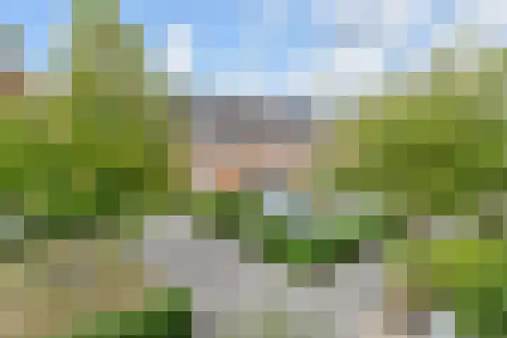 Sneekermeerplantsoen 26 Berkel en Rodenrijs thumbnail 36