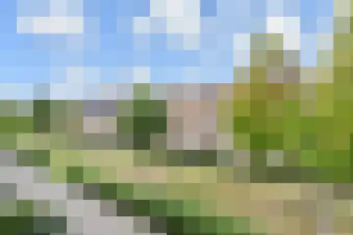 Sneekermeerplantsoen 26 Berkel en Rodenrijs thumbnail 37