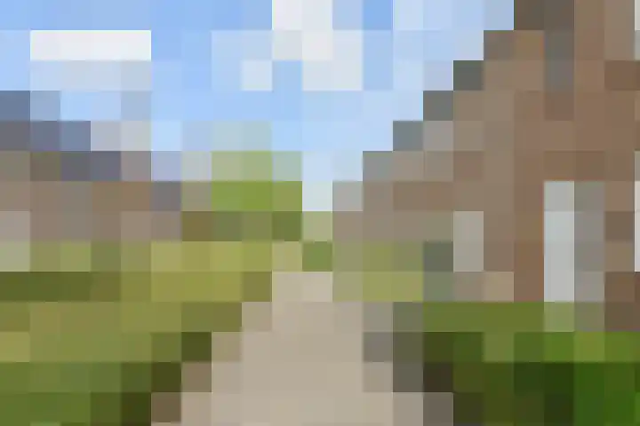 Sneekermeerplantsoen 26 Berkel en Rodenrijs thumbnail 38
