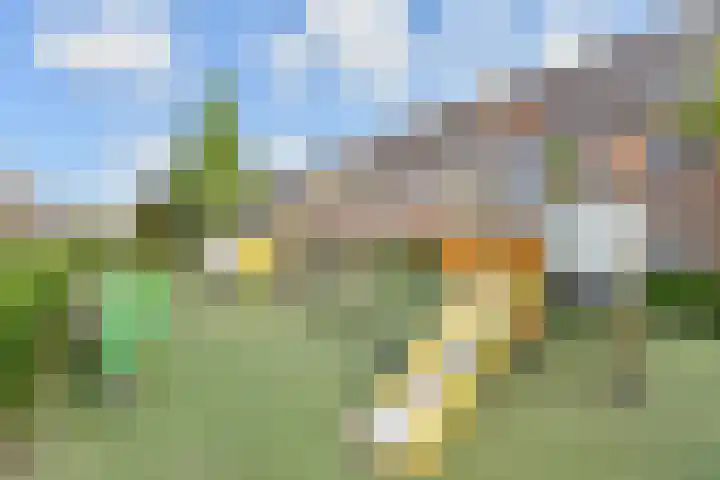 Sneekermeerplantsoen 26 Berkel en Rodenrijs thumbnail 39