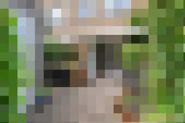 Sneekermeerplantsoen 26 Berkel en Rodenrijs thumbnail 4