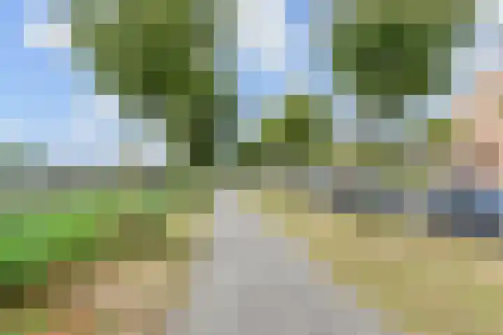Sneekermeerplantsoen 26 Berkel en Rodenrijs thumbnail 41