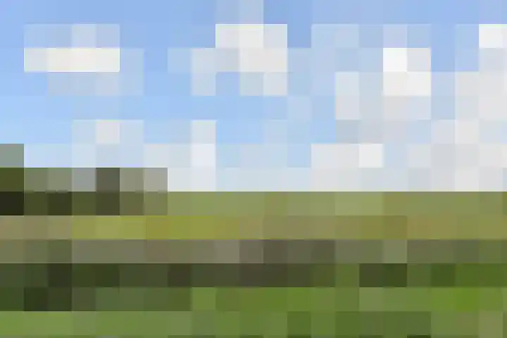 Sneekermeerplantsoen 26 Berkel en Rodenrijs thumbnail 42