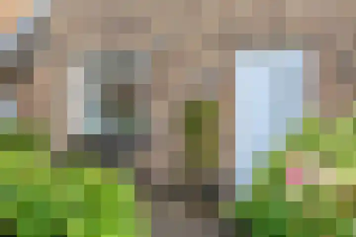 Sneekermeerplantsoen 26 Berkel en Rodenrijs thumbnail 5