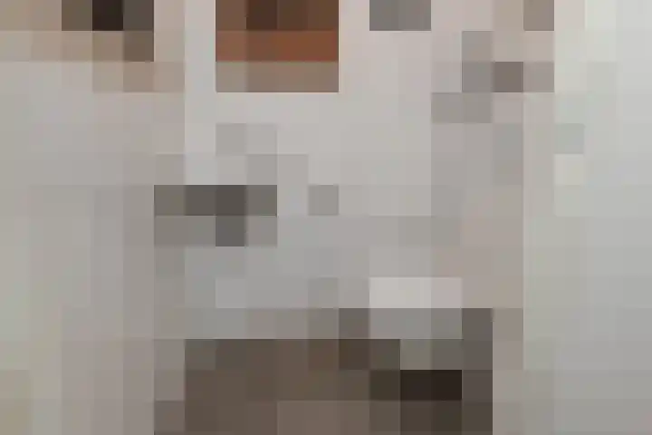 Sneekermeerplantsoen 26 Berkel en Rodenrijs thumbnail 6