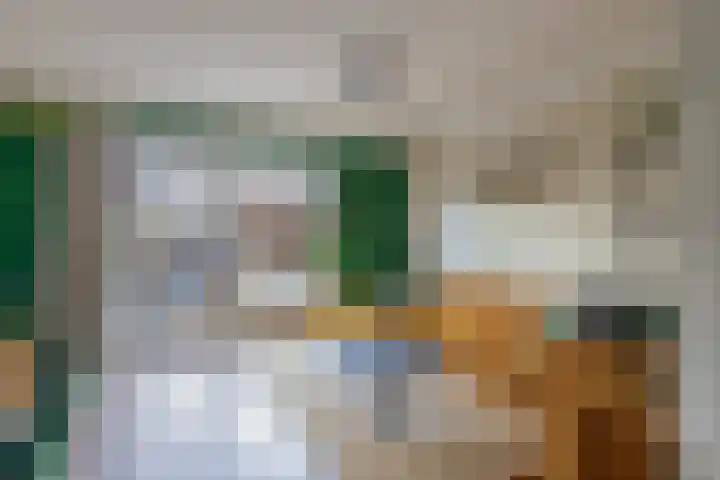 Sneekermeerplantsoen 35 Berkel en Rodenrijs thumbnail 13