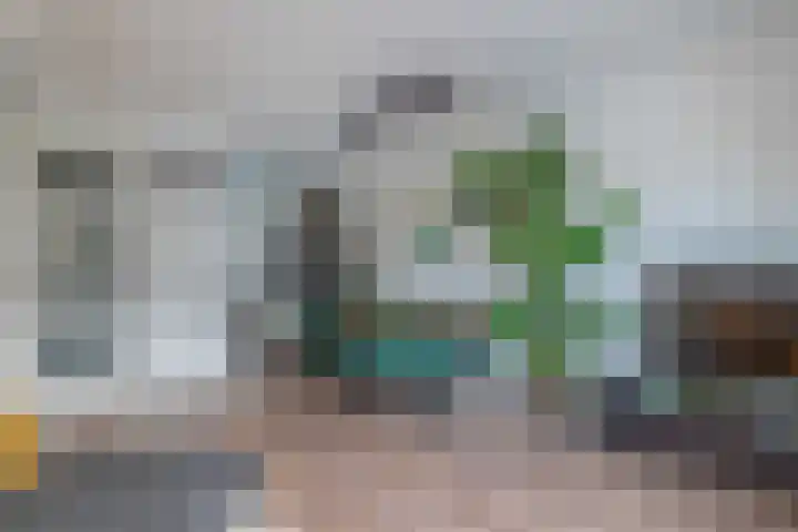 Sneekermeerplantsoen 35 Berkel en Rodenrijs thumbnail 15