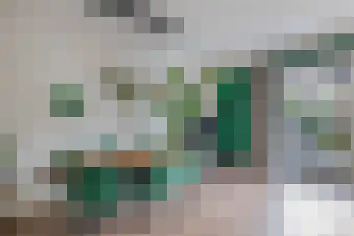 Sneekermeerplantsoen 35 Berkel en Rodenrijs thumbnail 16