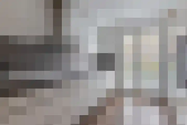 Sneekermeerplantsoen 35 Berkel en Rodenrijs thumbnail 18
