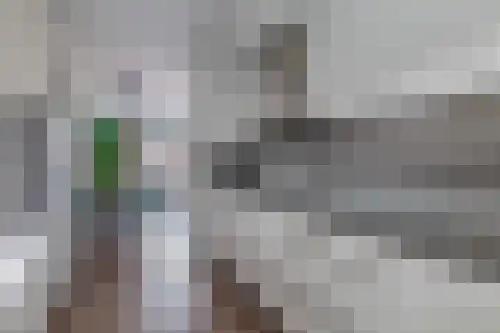 Sneekermeerplantsoen 35 Berkel en Rodenrijs thumbnail 19