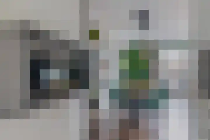 Sneekermeerplantsoen 35 Berkel en Rodenrijs thumbnail 20