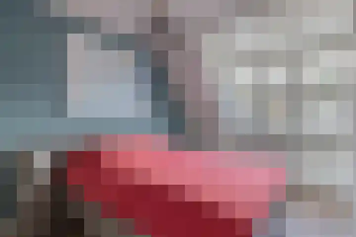 Sneekermeerplantsoen 35 Berkel en Rodenrijs thumbnail 26