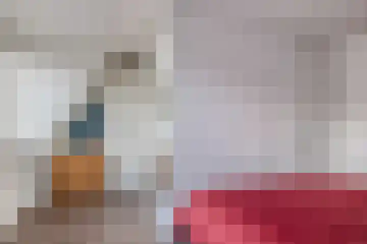 Sneekermeerplantsoen 35 Berkel en Rodenrijs thumbnail 27