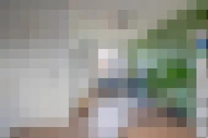 Sneekermeerplantsoen 35 Berkel en Rodenrijs thumbnail 36