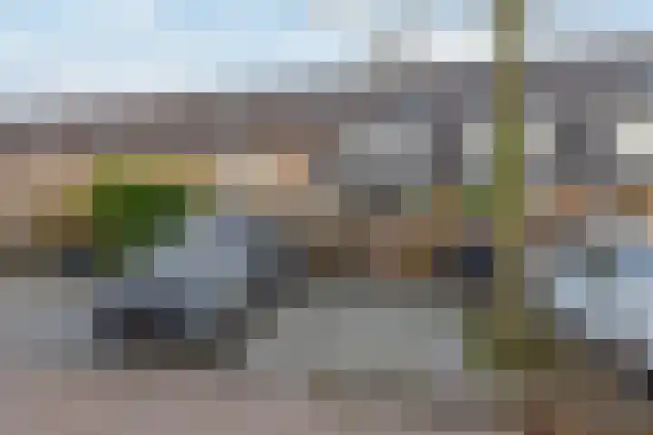 Sneekermeerplantsoen 35 Berkel en Rodenrijs thumbnail 38