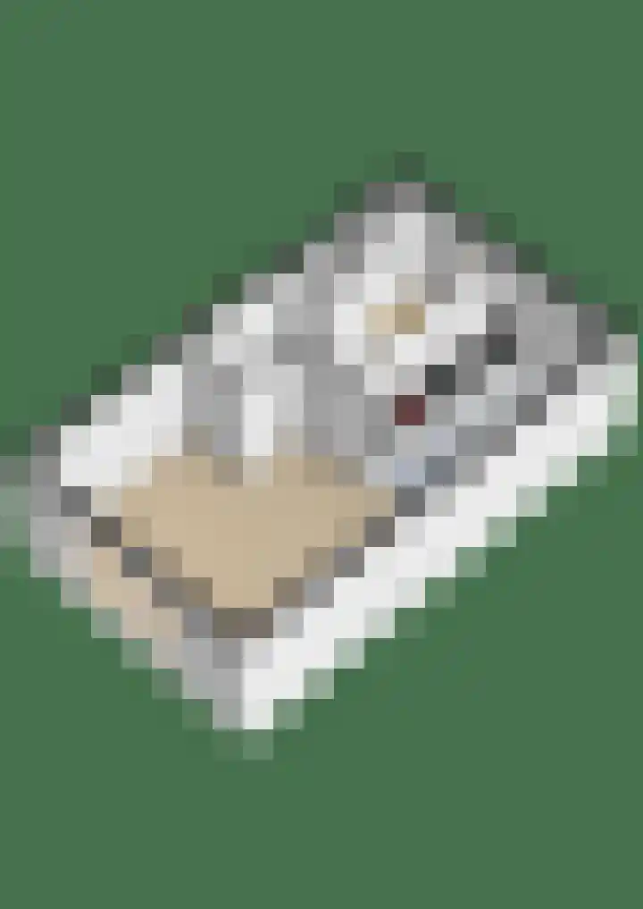 Sneekermeerplantsoen 35 Berkel en Rodenrijs thumbnail 41