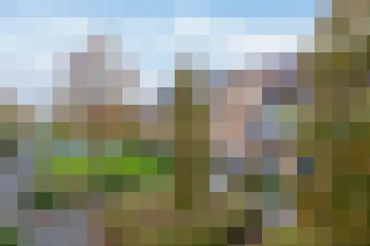 Sneekermeerplantsoen 35 Berkel en Rodenrijs thumbnail 8