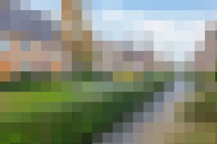 Sneekermeerplantsoen 35 Berkel en Rodenrijs thumbnail 9