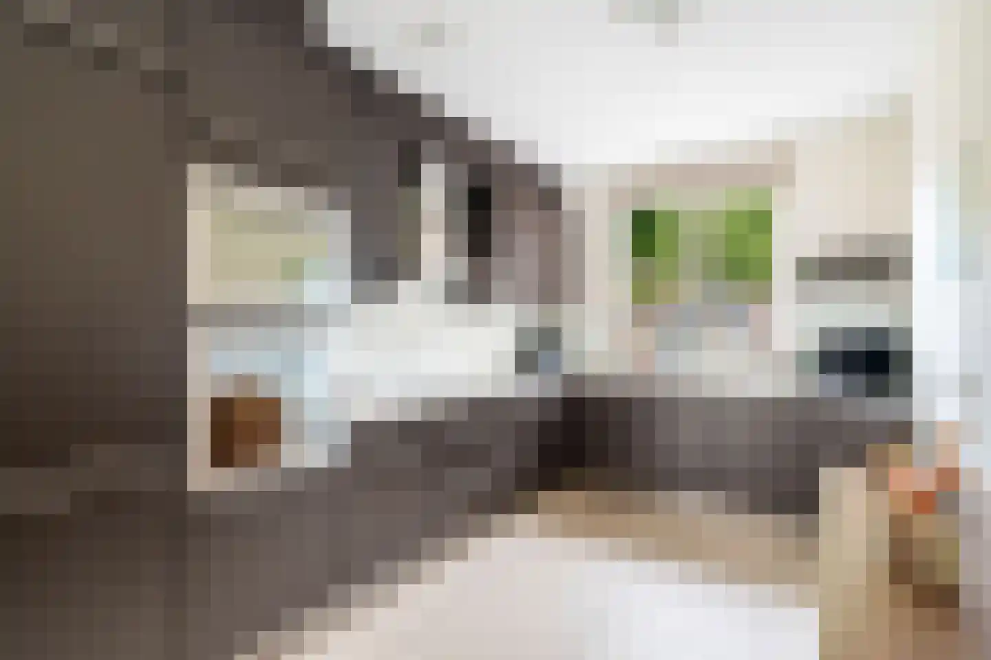Sneekermeerplantsoen 36 Berkel en Rodenrijs thumbnail 16