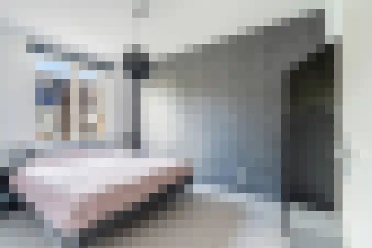 Sneekermeerplantsoen 36 Berkel en Rodenrijs thumbnail 22
