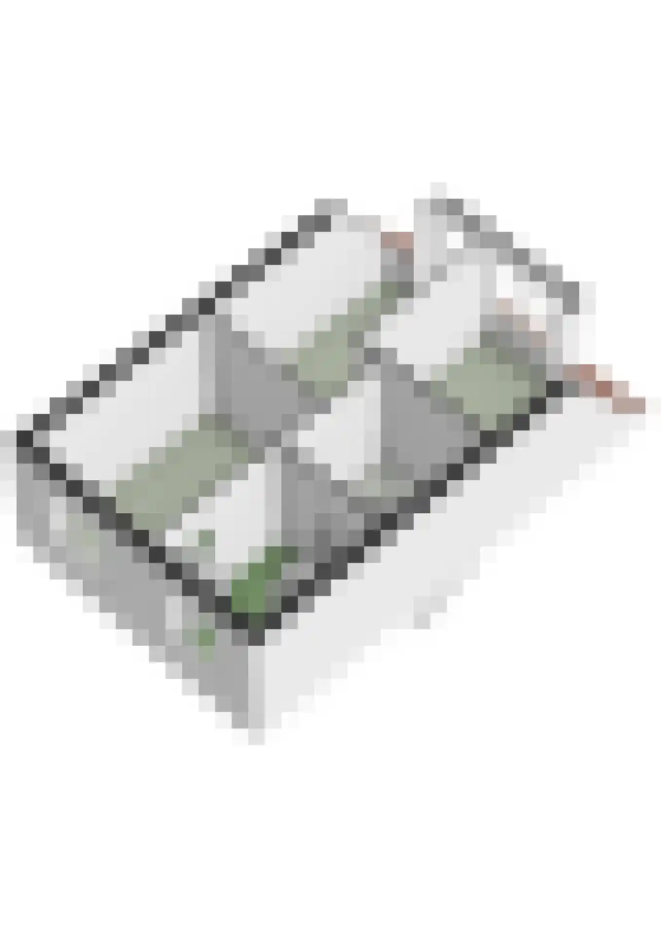 Sneekermeerplantsoen 36 Berkel en Rodenrijs thumbnail 52