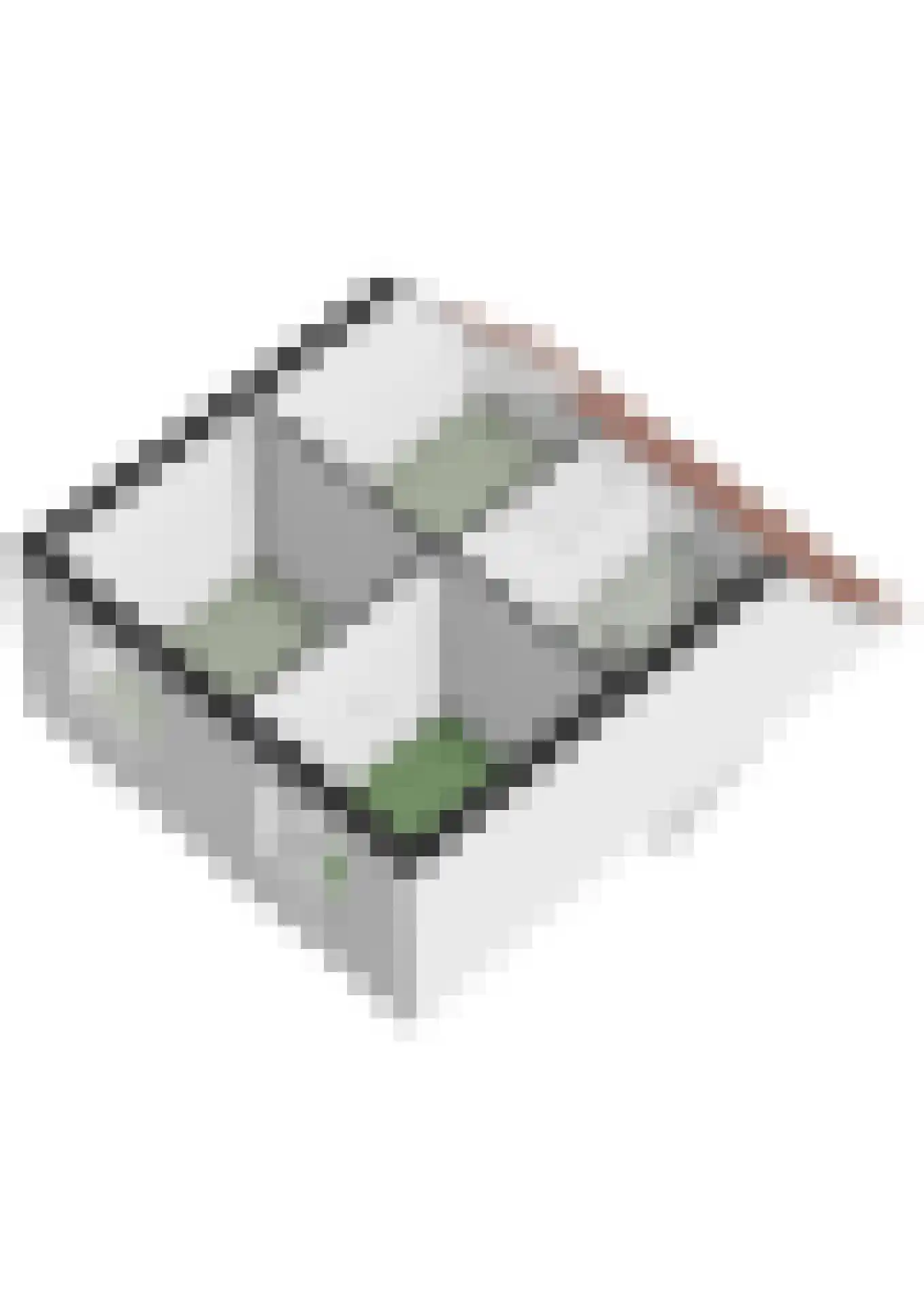 Sneekermeerplantsoen 36 Berkel en Rodenrijs thumbnail 54