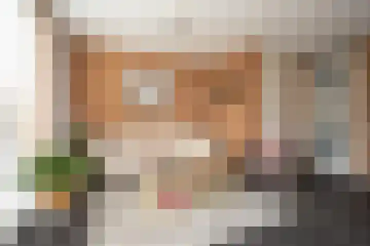 Sneekermeerplantsoen 38 Berkel en Rodenrijs thumbnail 11