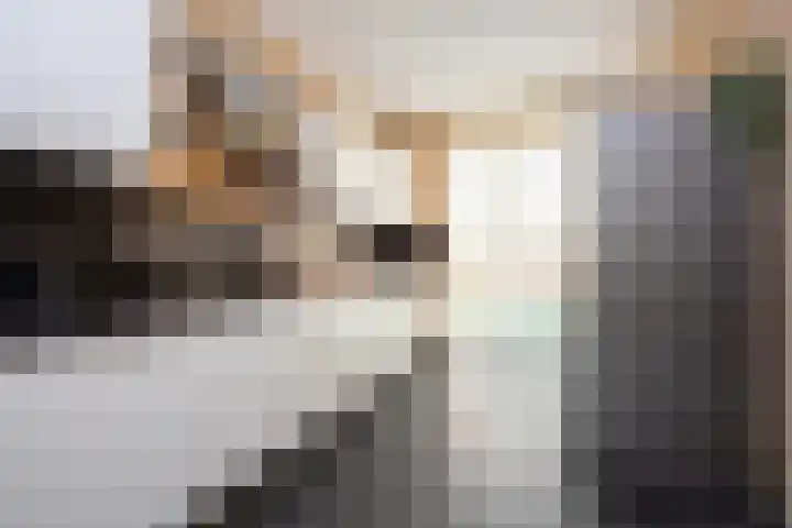Sneekermeerplantsoen 38 Berkel en Rodenrijs thumbnail 16