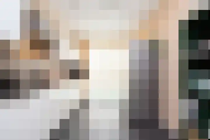 Sneekermeerplantsoen 38 Berkel en Rodenrijs thumbnail 17