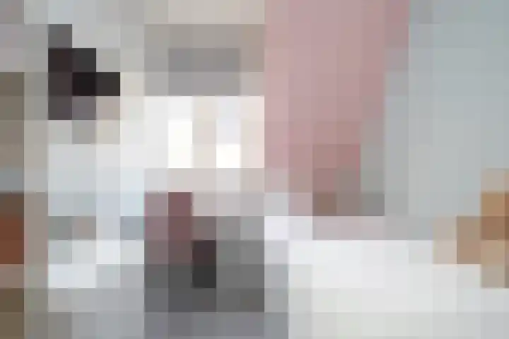 Sneekermeerplantsoen 38 Berkel en Rodenrijs thumbnail 21
