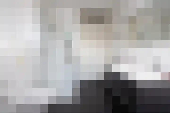 Sneekermeerplantsoen 38 Berkel en Rodenrijs thumbnail 27