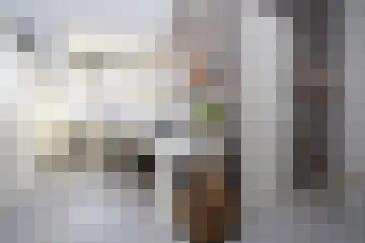 Sneekermeerplantsoen 38 Berkel en Rodenrijs thumbnail 29