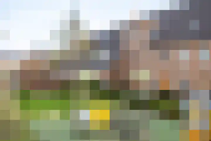 Sneekermeerplantsoen 38 Berkel en Rodenrijs foto 3