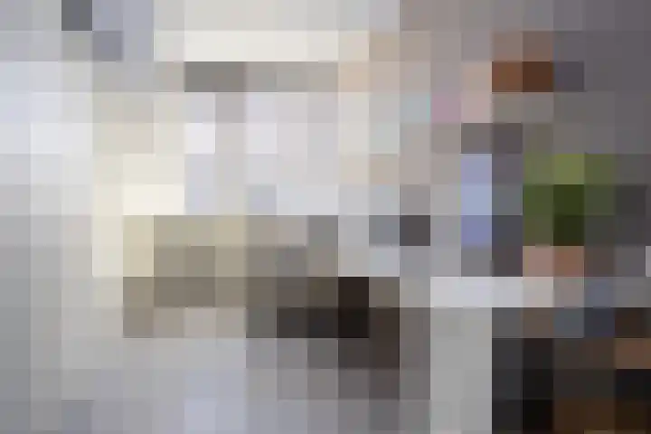Sneekermeerplantsoen 38 Berkel en Rodenrijs thumbnail 30