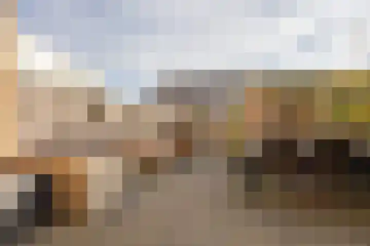 Sneekermeerplantsoen 38 Berkel en Rodenrijs thumbnail 34