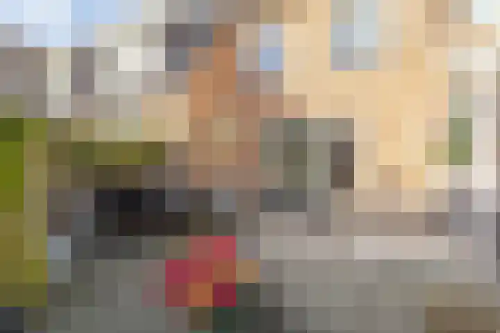 Sneekermeerplantsoen 38 Berkel en Rodenrijs thumbnail 36