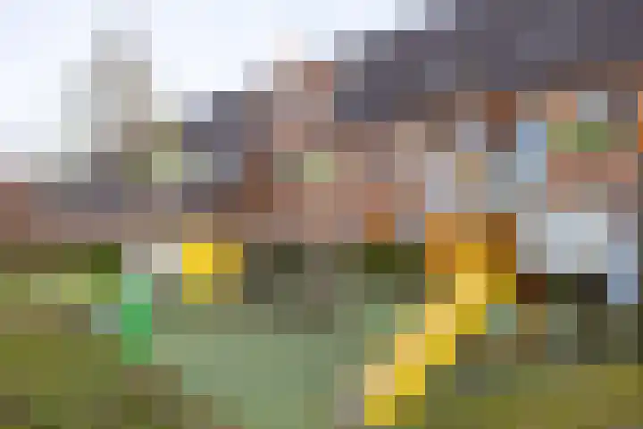 Sneekermeerplantsoen 38 Berkel en Rodenrijs thumbnail 4