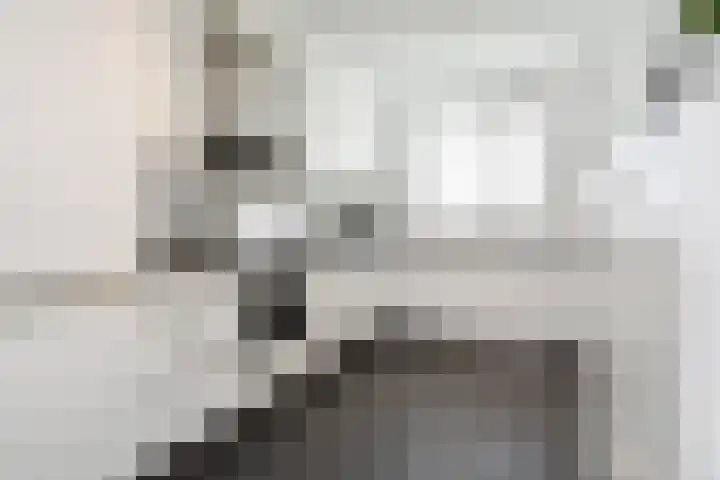 Sneekermeerplantsoen 44 Berkel en Rodenrijs thumbnail 12
