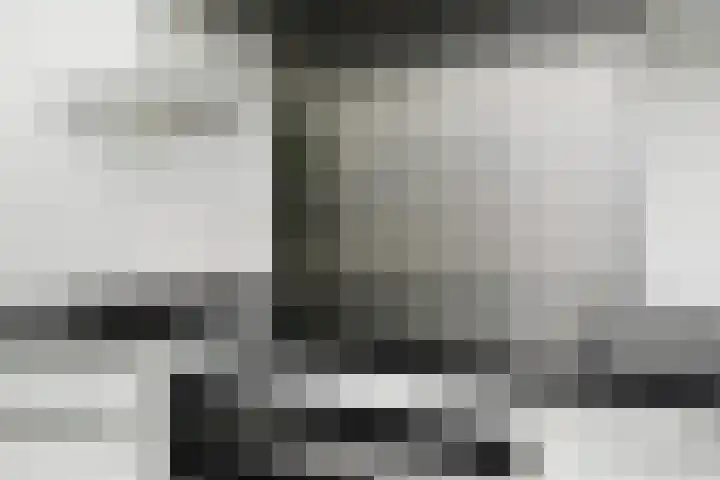 Sneekermeerplantsoen 44 Berkel en Rodenrijs thumbnail 13