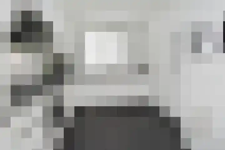 Sneekermeerplantsoen 44 Berkel en Rodenrijs thumbnail 14