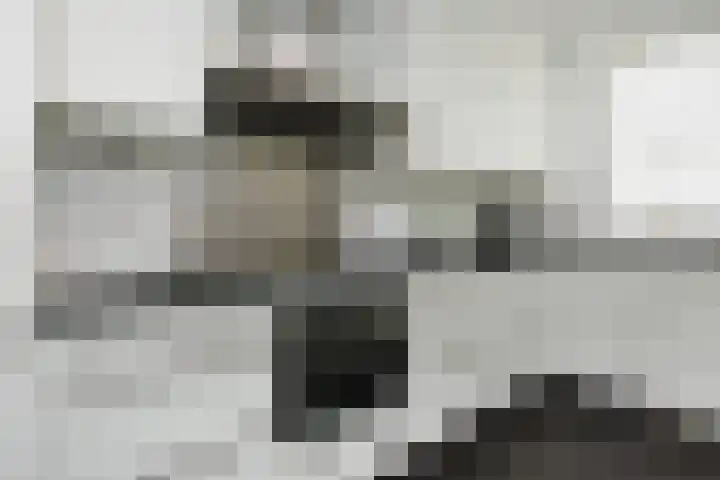 Sneekermeerplantsoen 44 Berkel en Rodenrijs thumbnail 15