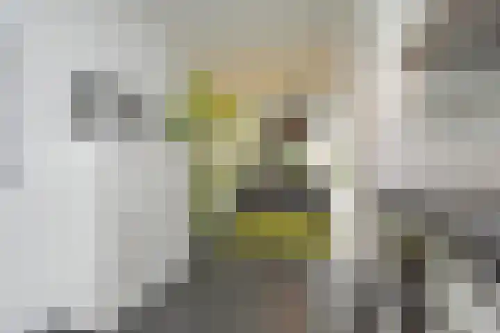Sneekermeerplantsoen 44 Berkel en Rodenrijs thumbnail 16
