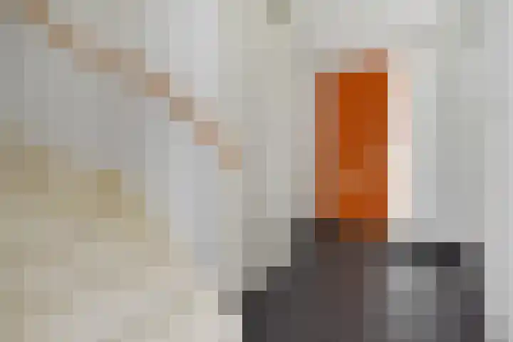 Sneekermeerplantsoen 44 Berkel en Rodenrijs thumbnail 19
